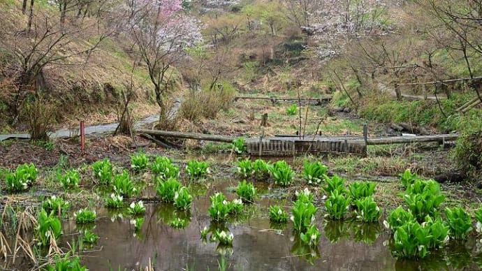男衾自然公園