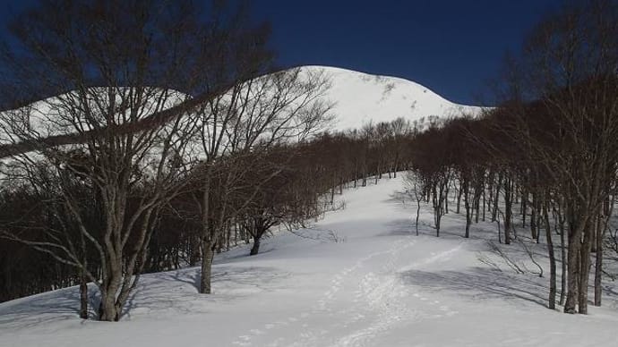 村山葉山 畑~山頂~南面滑降~畑 2020.04.12