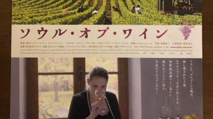 こんな映画を観ました