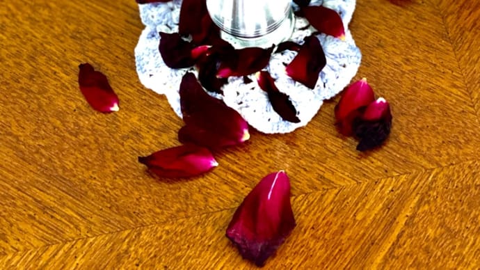 黒薔薇に魅入られて