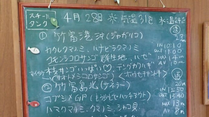 20220428ダイビングログ
