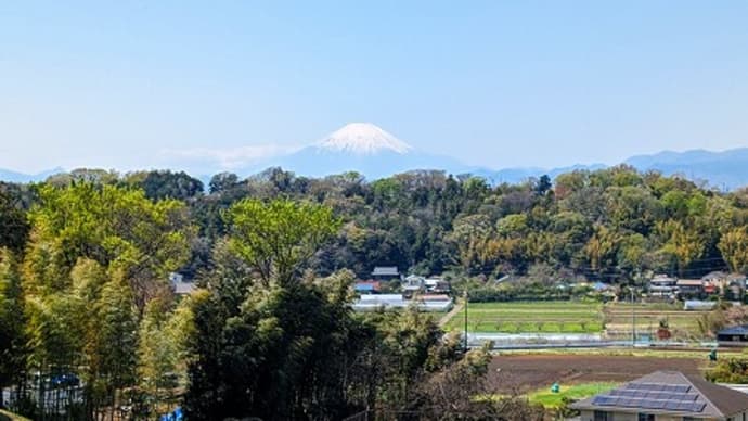 狂犬病予防接種出張会場でお手伝い