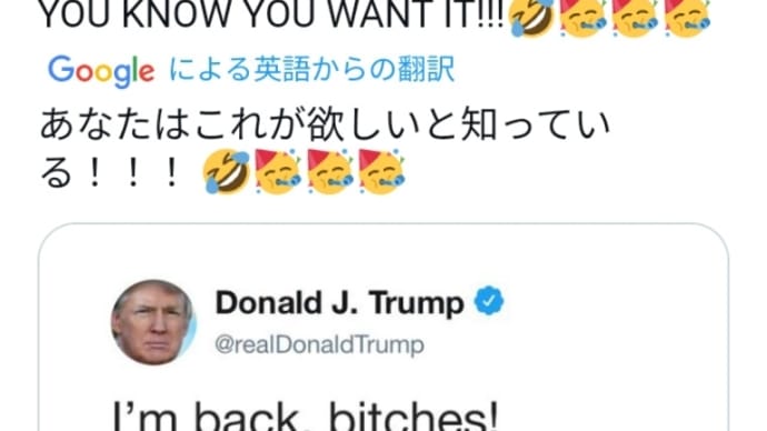 トランプ大統領!あなたはこれが欲しいと知っている!【戻ってきたよ、 雌犬たち!】EASY簡単です!バイデン終了宣言!我々は証拠をどんどん公開している!