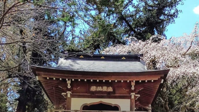 北鎌倉春の寺巡り🌸浄智寺