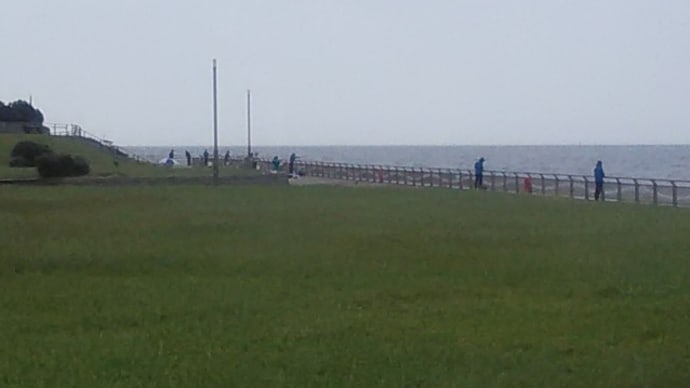 東扇島西公園釣り情報