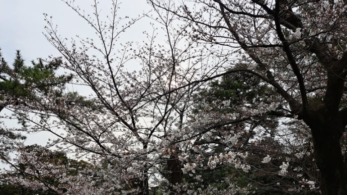 家族のきずなが切れて、バラバラになってしまった、これが日本の低迷している大元です!