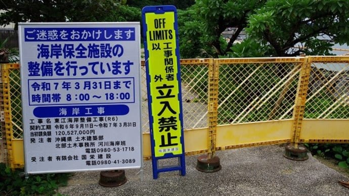 【訂正】名護湾の朝のひととき(20241117)