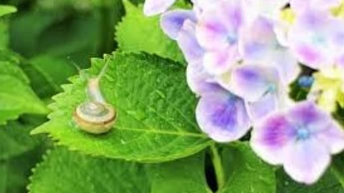 “集中力が続かない”“倦怠感がある”“やる気が出ない”といった症状が“5月病”“6月病”?
