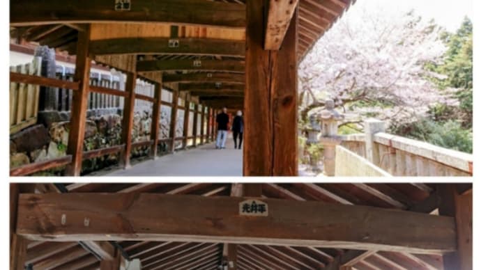 桜咲く吉備津神社に参拝その2@18切符で行く岡山trip2022年4月6日