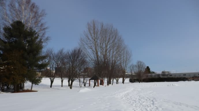 いつもの公園でのんびり