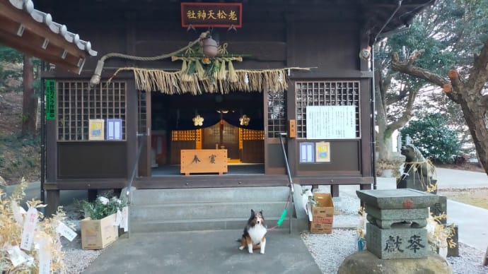 小次郎の行楽－初詣（荻浦神社）2023年－