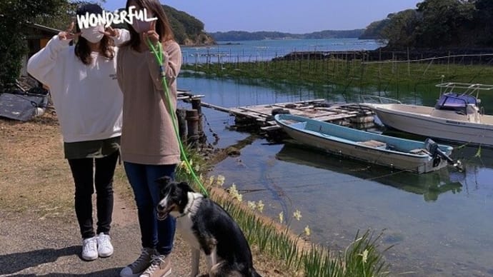 今季も恒例 カキ三昧 ♪