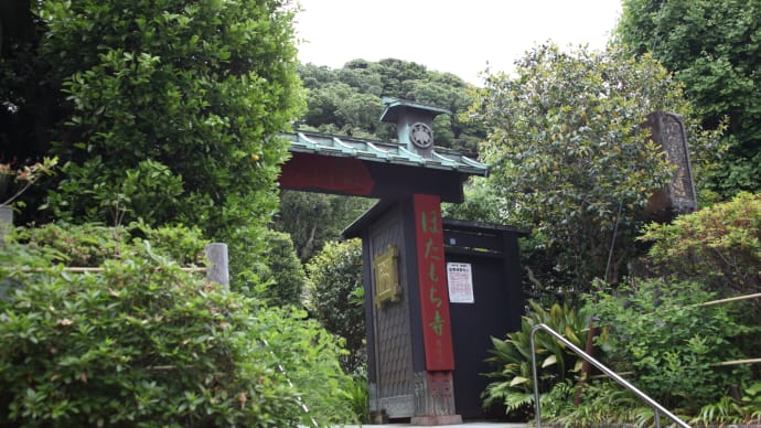 20220515 ぼた餅寺~安国論寺 06 Vario-Sonnar T* 28-85mm