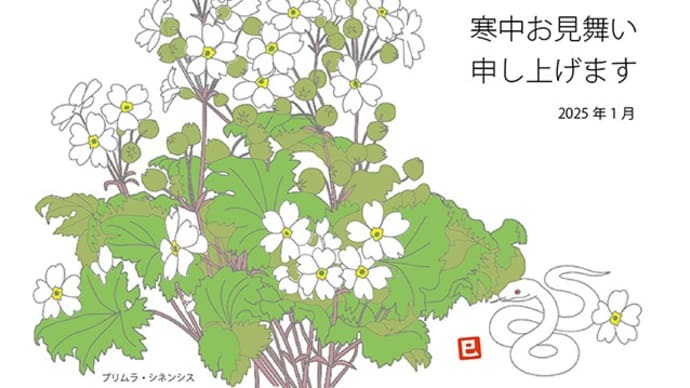 寒中お見舞い