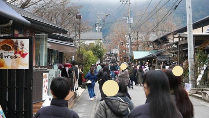 天祖神社のスギ
