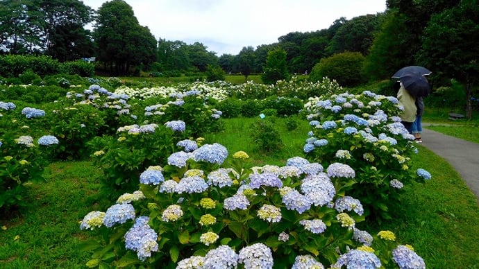 荻窪公園＆王里★前橋市