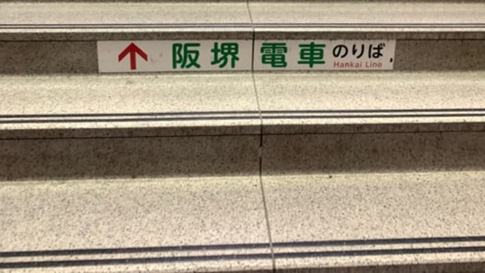 のれました♪(๑ᴖ◡ᴖ๑)♪