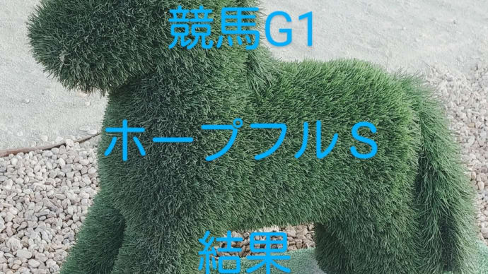 競馬G1 ホープフルステークスを振り返る 馬券の結果