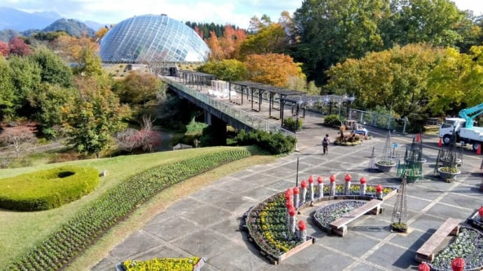 先週(11/10～11/16)の歩行実績＆行く秋の花回廊