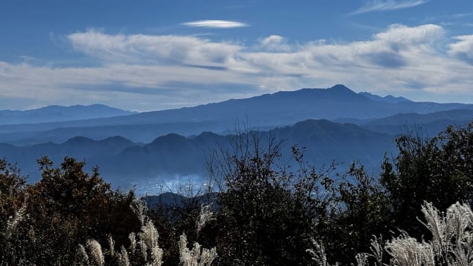 大林山