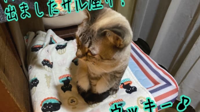 サル座りというよりは…