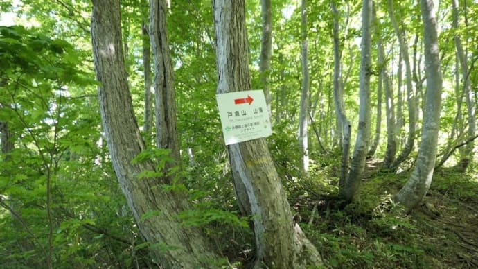 戸倉山(975.5m 新潟県糸魚川市)登山(2)【角間池~山頂、山頂からの景色、下山、「ひすいの湯」】