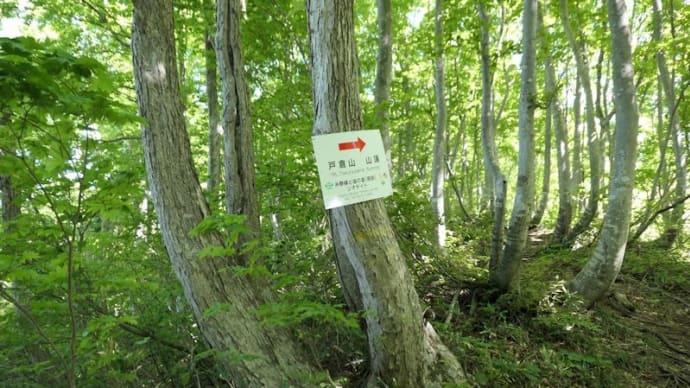 戸倉山（975.5m　新潟県糸魚川市）登山（2）【角間池～山頂、山頂からの景色、下山、「ひすいの湯」】