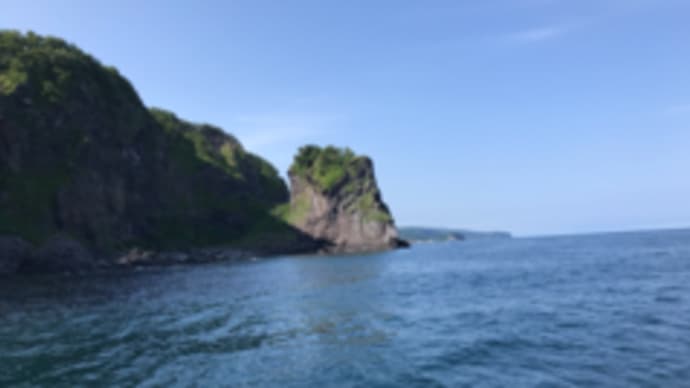 知床半島クルージング