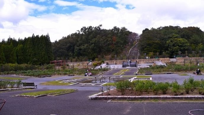 播磨中央公園 秋バラ '23