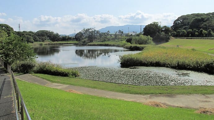 千鳥ヶ池公園