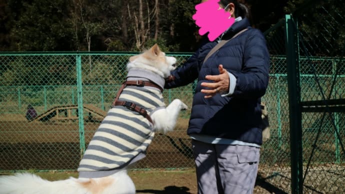 二週間ぶりのフータラさん。(中編)