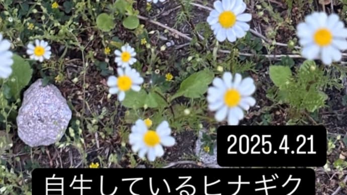 ショートメッセージ