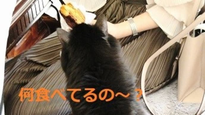 お姉ちゃんに甘えてました♪
