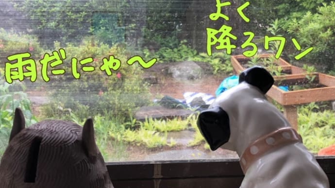 魔窟発掘品 どこかへ置き忘れたモノ