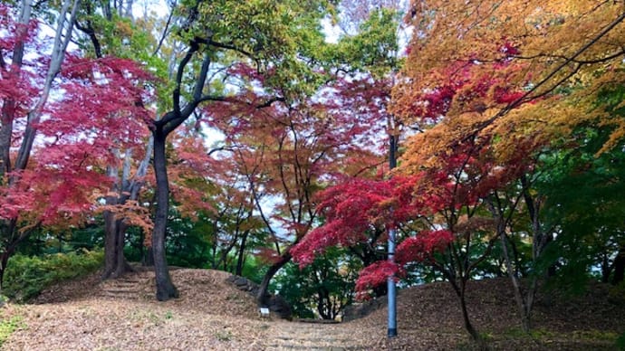 秋本番。紅葉の季節、館跡にある穴場スポットです。