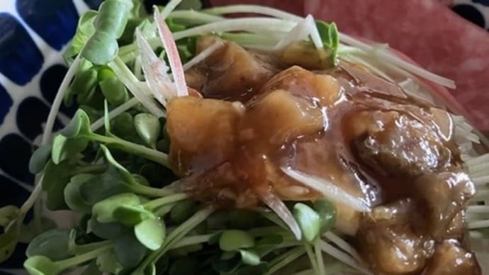冷たい麺類いろいろ~そうめん・うどん・ラーメン