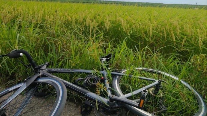 ロードバイクの前輪のチューブを交換してバイクの店を見たり田んぼが見られたり