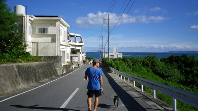 真夏日のお散歩