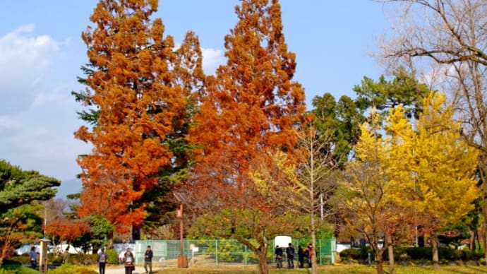 駿府城公園の紅葉