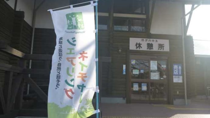2月7日(日)ネイチャーゲーム活動でした 遠州灘海浜公園