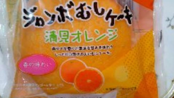 ジャンボむしケーキ清見オレンジ&まろやかティラミス