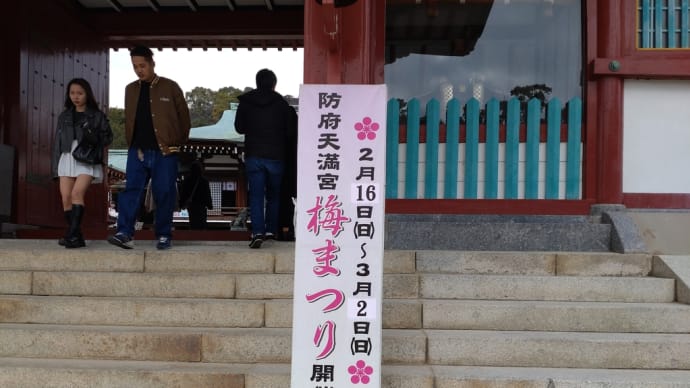 梅の花の季節