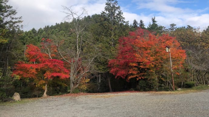 紅葉を愛でながら?のグランドゴルフ