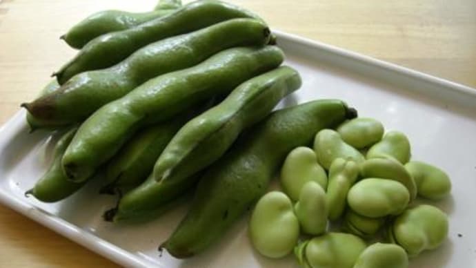 新そら豆ができた