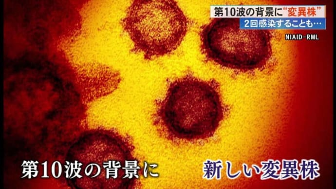 レプリコンワクチン接種の口実にするつもりですか?