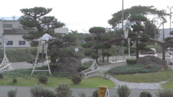 今日は、寒かったです。