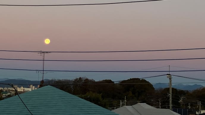 有明の月