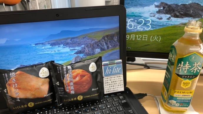 そんな気はした朝ゴハン。