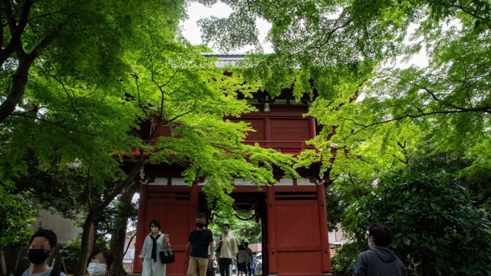 松戸のあじさい寺