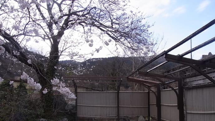姫川温泉・ホテル白馬荘